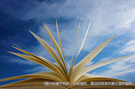 ucl科學和數據密集型計算專業怎么樣？