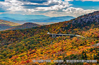 前沿項目：NYU大學Marketing專業