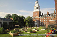 新加坡博士申請(qǐng)流程有哪些？