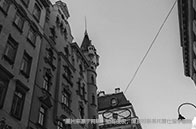 蒙特利爾大學數學專業申請條件有哪些？