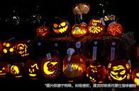 韋仕敦大學管理理學碩士入學條件