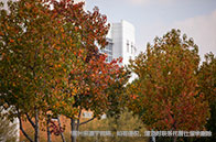 高考成績能申請格拉斯哥大學嗎？