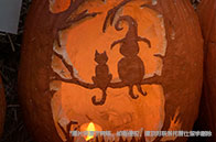 麥吉爾大學(xué)研究生學(xué)費(fèi)多少錢？