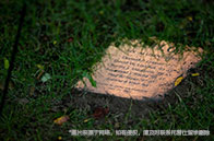 美國最好的法學院是哪所？