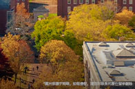 linkin發布美國最佳MBA碩士排名榜單：哈佛榜首