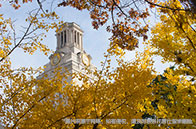 華威大學網絡安全管理碩士值得讀嗎？