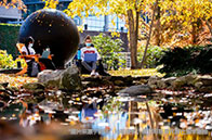 川普放言畢業(yè)即可獲綠卡！美國(guó)留學(xué)生獲得綠卡有多難？