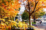 GPA多少分能進美國商學院？