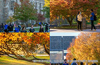 美國就業前景好的碩士專業有哪些？