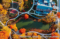 nus大學經(jīng)濟學碩士學費多少錢？