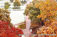 麥吉爾大學化學工程碩士錄取條件