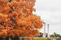 英國(guó)留學(xué)每月交通費(fèi)多少錢(qián)？