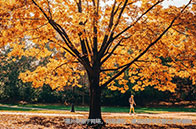 加拿大環境專業就業前景怎么樣？