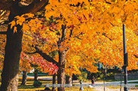 低分如何逆襲美國研究生？（附案例）