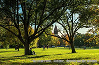 警惕！加拿大留學(xué)畢業(yè)工簽申請(qǐng)難度加大