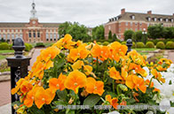 阿爾伯塔大學2025qs排名第幾？恭喜進入全球百強！