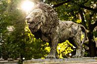 加州大學(xué)2025qs世界排名一覽