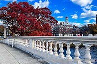 英屬哥倫比亞大學認知系統專業學什么？