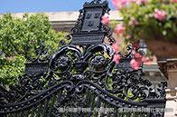 圣路易斯華盛頓大學本科有教育專業嗎？