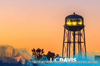 華威大學(xué)會(huì)計(jì)與金融專業(yè)本科費(fèi)用多少錢？