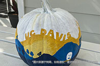 加州大學戴維斯分校商科接受本科申請嗎？