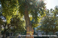 美國研究型碩士錄取條件有哪些？