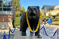 耶魯大學醫療健康管理碩士學什么？