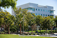 出國留學參加腦科學創新挑戰賽有用嗎？大有用處！