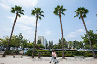 加拿大經濟學最好的大學是哪幾所？