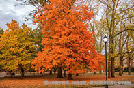 首輪截止！NUS商學院24fall還能申請的碩士推薦！