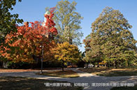 新加坡社科大學建筑環境碩士項目值得讀嗎？