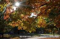 南洋理工大學(xué)綠色電子碩士簡(jiǎn)介