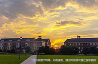 南洋理工大學本科有PPE專業嗎？