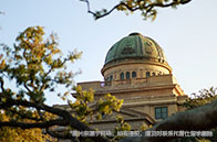 新加坡社科大學熱門研究生項目有哪些？