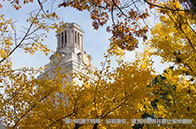 卡迪夫大學本科一年費用多少錢？