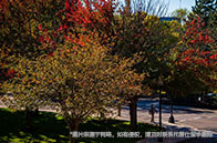 不列顛哥倫比亞大學qs最新排名：第38位