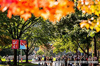 麥吉爾大學教育心理學碩士詳解