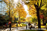 波士頓學(xué)院金融研究生排名第幾？進(jìn)入前十