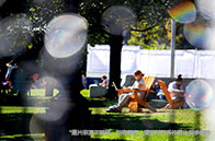 賓大商科有本科專業嗎？