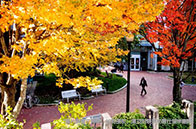 留學加拿大生活費是多少？