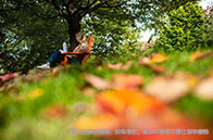 加拿大計算機專業(yè)世界排名最新一覽