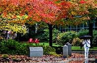 新加坡國(guó)立大學(xué)EBAC項(xiàng)目含金量怎么樣？