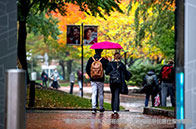 英屬哥倫比亞大學(xué)化學(xué)工程排名多少？