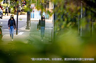 戴爾豪斯大學商業學士申請要求有哪些？