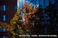 賓州州立大學學費多少錢？