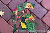 新加坡名校申請(qǐng)咨詢常識(shí)匯總