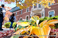 西安大略大學(xué)有哪些學(xué)院？