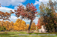 英國排名穩定的五所大學