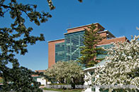 新加坡國立大學商學院全球排名多少位？