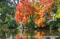 版圖升級！NUS GRTII正式落成